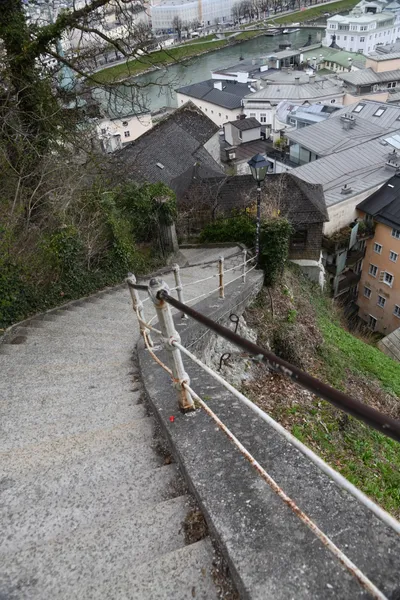 DSC_7049 (Large).JPG